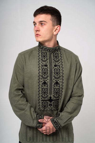 Сімейний комплект вишиванок &laquo;Звитяга&raquo; оливкового кольору 46-42 р. 00813 фото